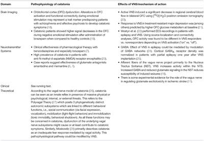 Vagus Nerve Stimulation as a Treatment for Catatonia: A Hypothesis